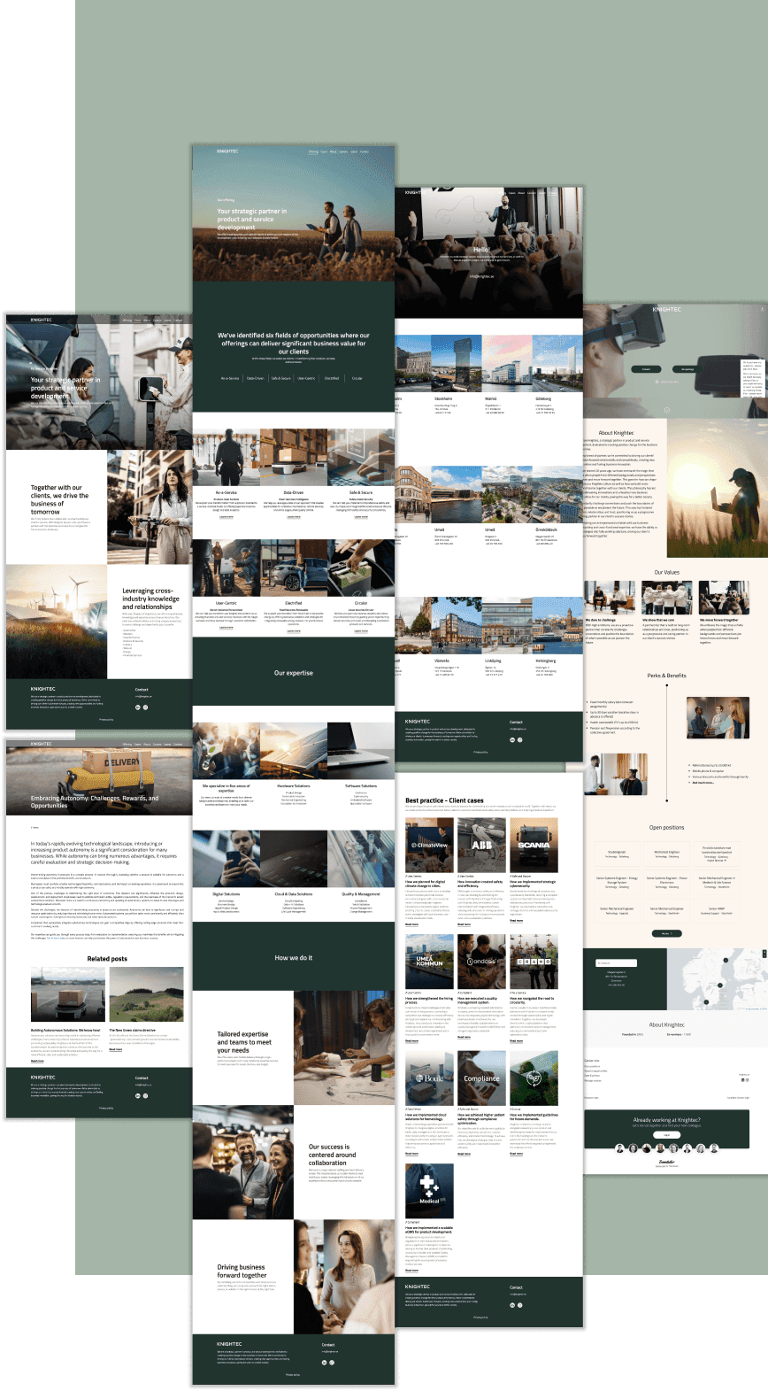 Project Overview